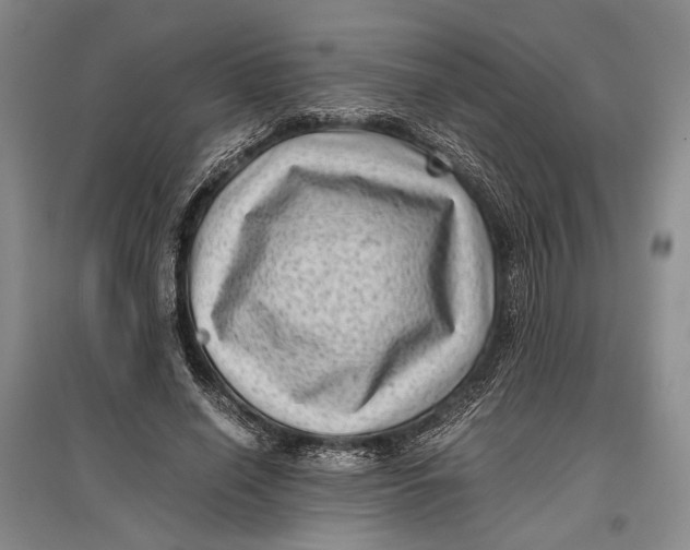 X0000096980638200802291147