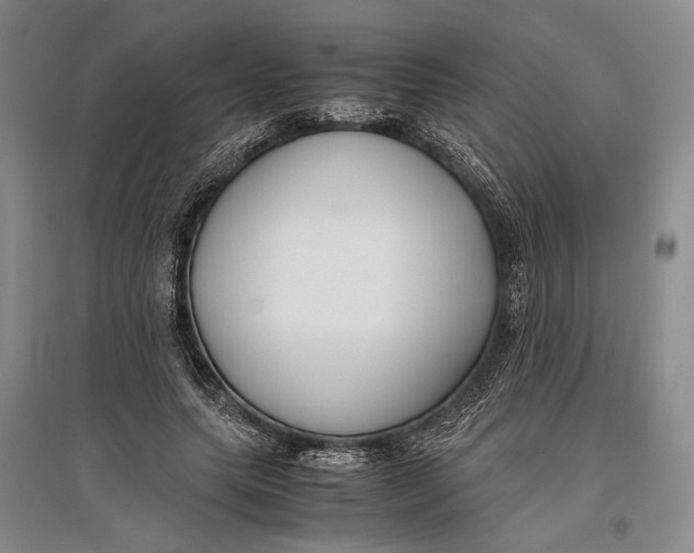 X0000096980639200802291147