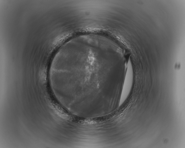 X0000096980640200802291147