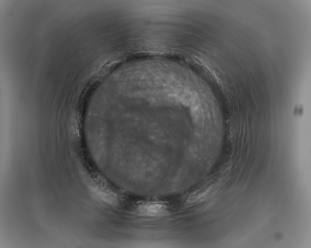 X0000096980643200802291147