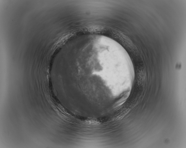 X0000096980644200802291147