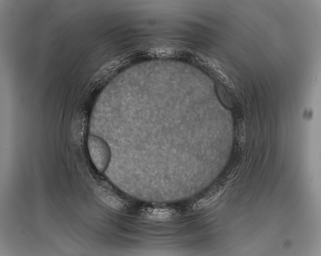 X0000096980645200802291147