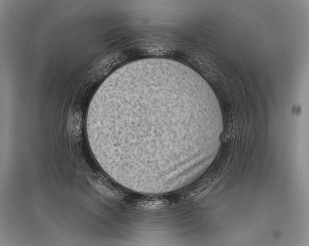 X0000096980646200802291147