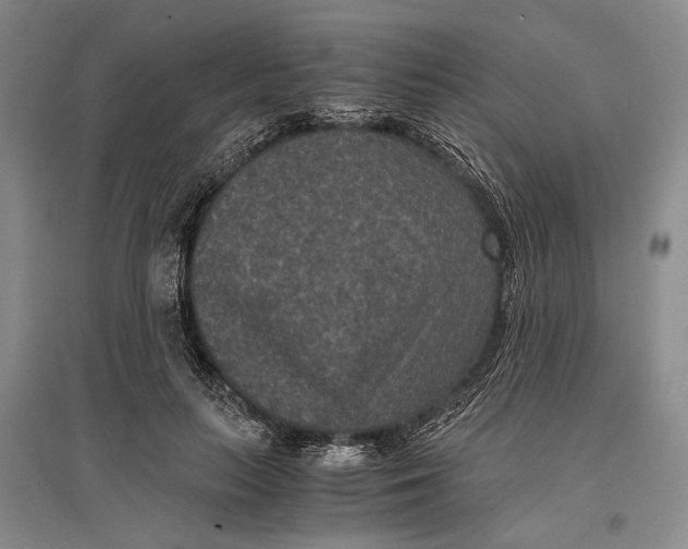 X0000096980647200802291147