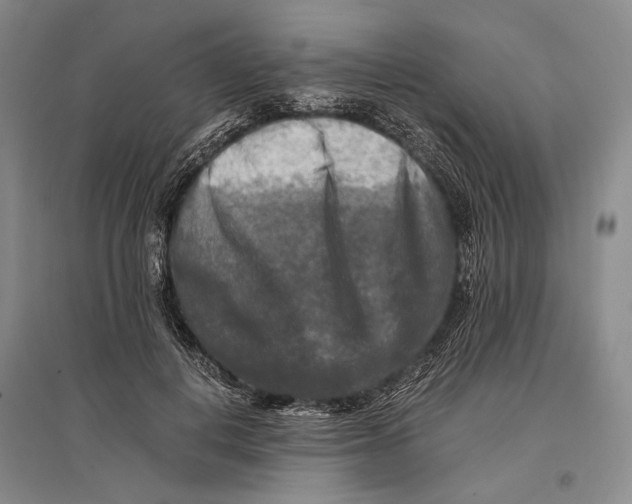 X0000096980648200802291147