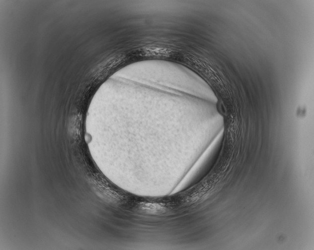 X0000096980649200802291147