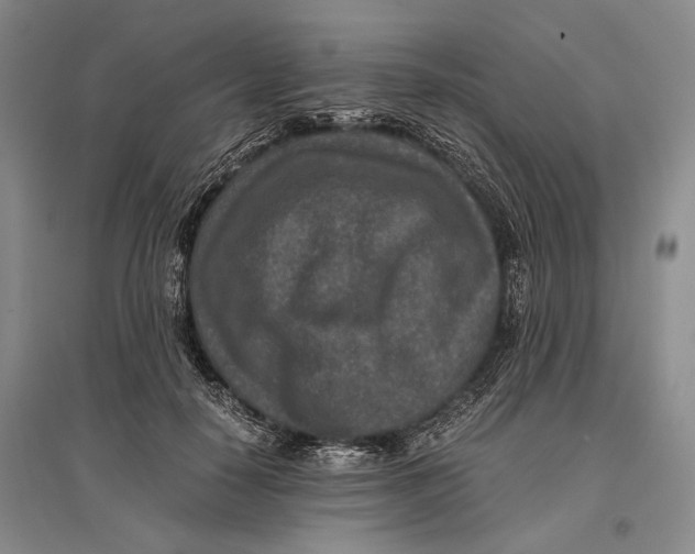 X0000096980650200802291147