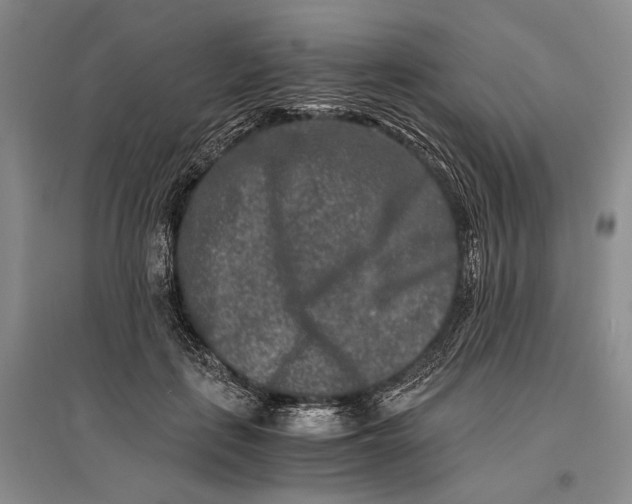 X0000096980651200802291147