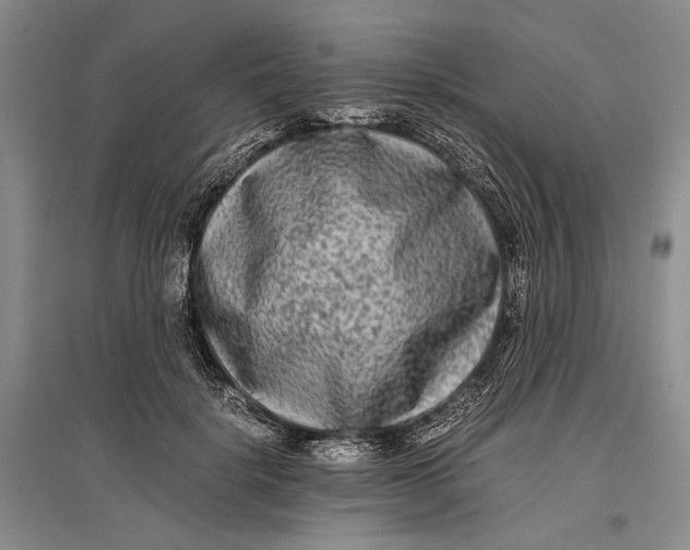 X0000096980652200802291147