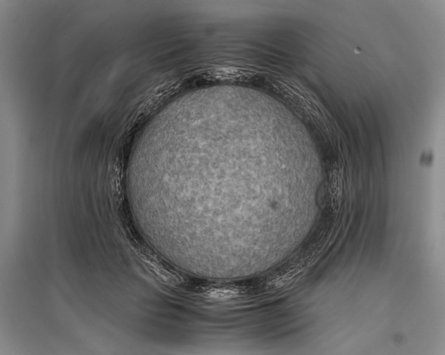 X0000096980653200802291147