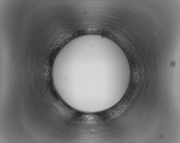 X0000096980654200802291147