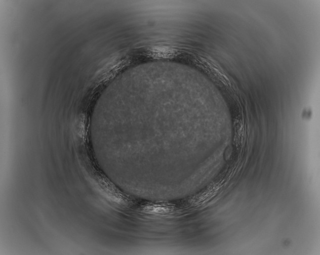 X0000096980655200802291147