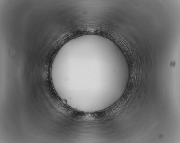 X0000096980656200802291147