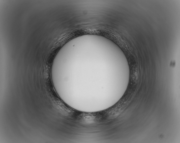 X0000096980658200802291147