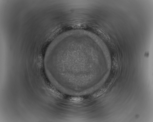 X0000096980659200802291147