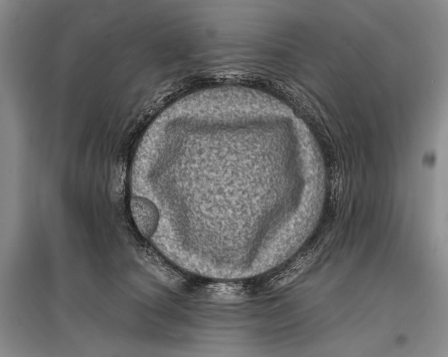 X0000096980660200802291147