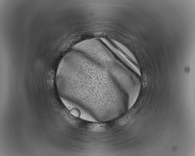 X0000096980664200802291147