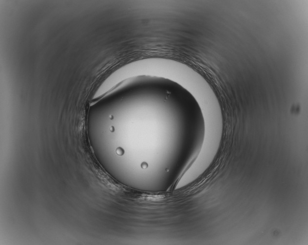 X0000096980665200802291147