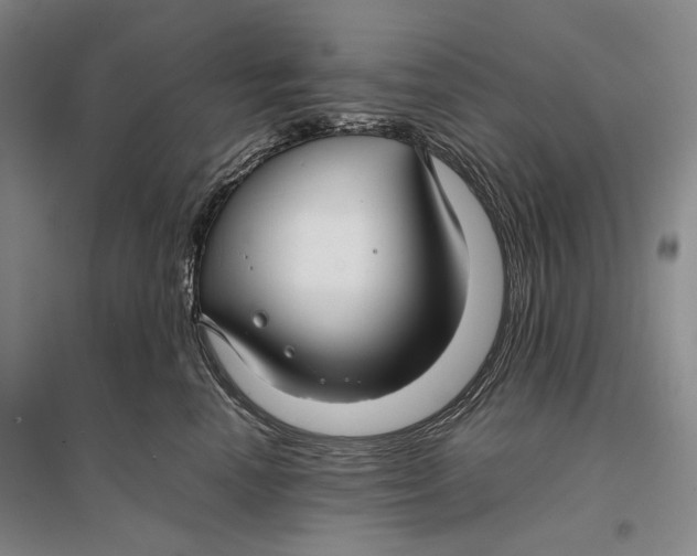 X0000096980666200802291147