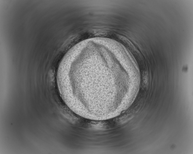 X0000096980667200802291147