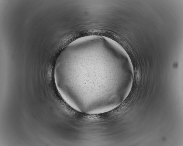 X0000096980668200802291147