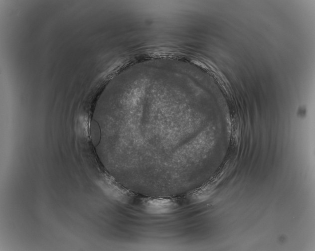 X0000096980669200802291147