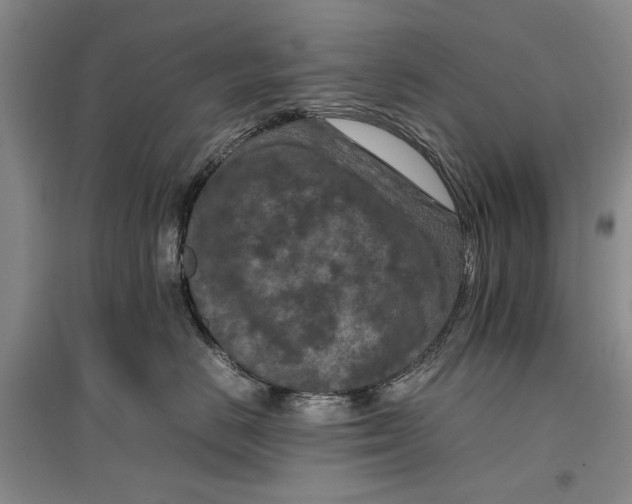 X0000096980670200802291147