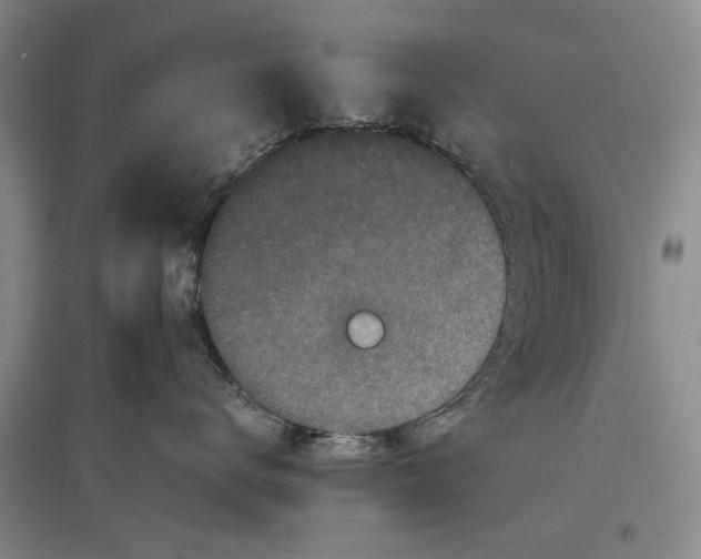 X0000096980672200802291147