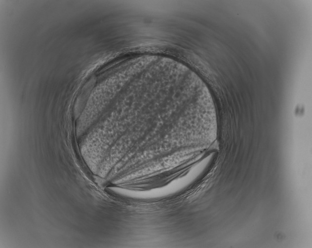 X0000096980673200802291146