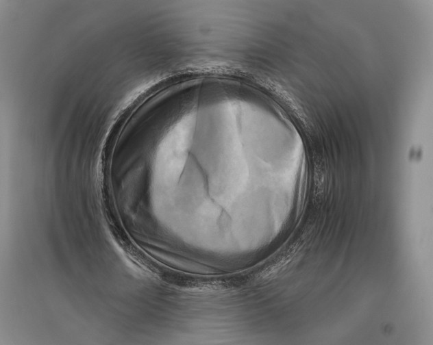 X0000096980674200802291146