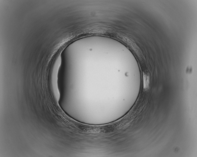 X0000096980675200802291146