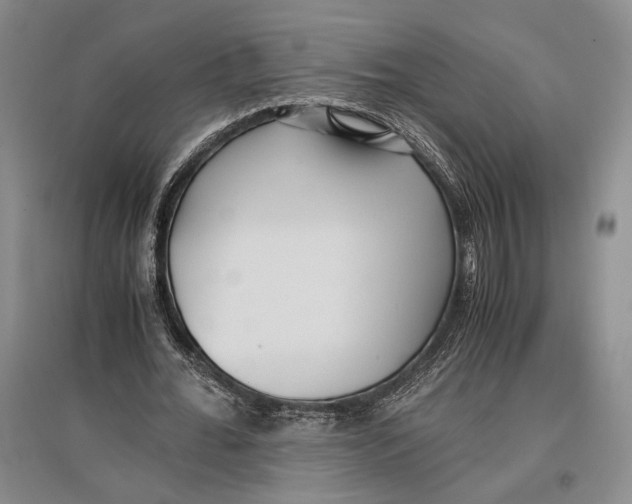 X0000096980676200802291146