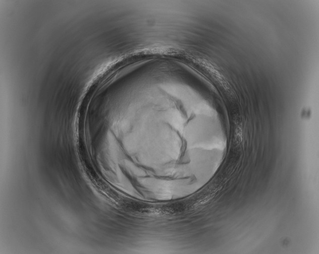 X0000096980678200802291146