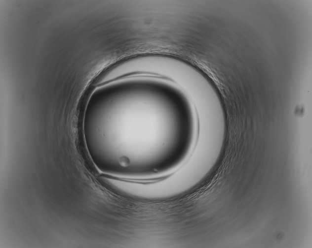 X0000096980679200802291146