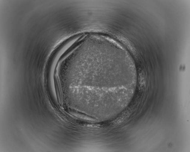 X0000096980680200802291146