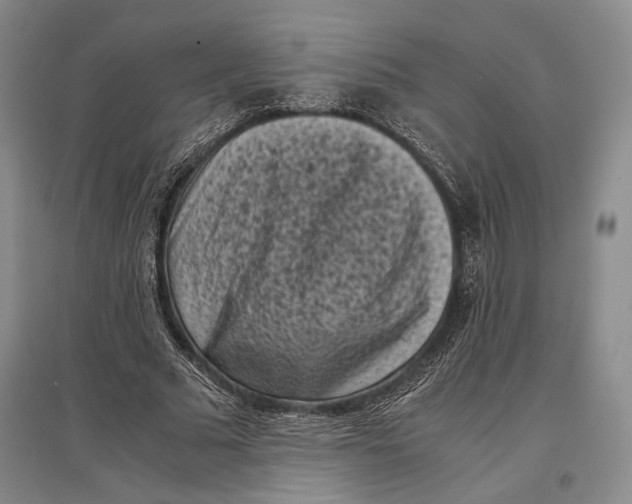 X0000096980681200802291146