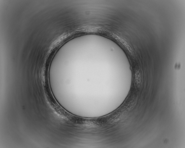 X0000096980682200802291146