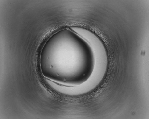 X0000096980683200802291146