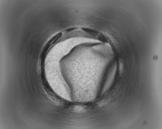 X0000096980684200802291146