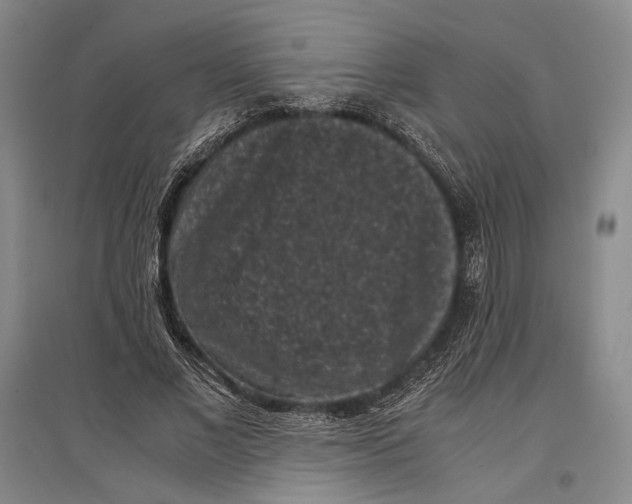 X0000096980685200802291146