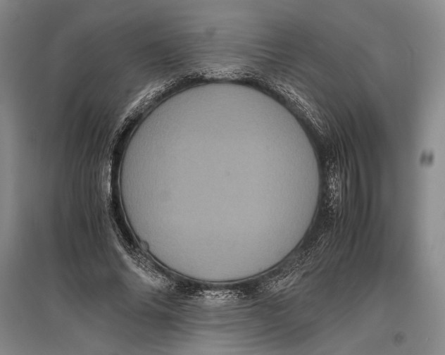 X0000096980686200802291146