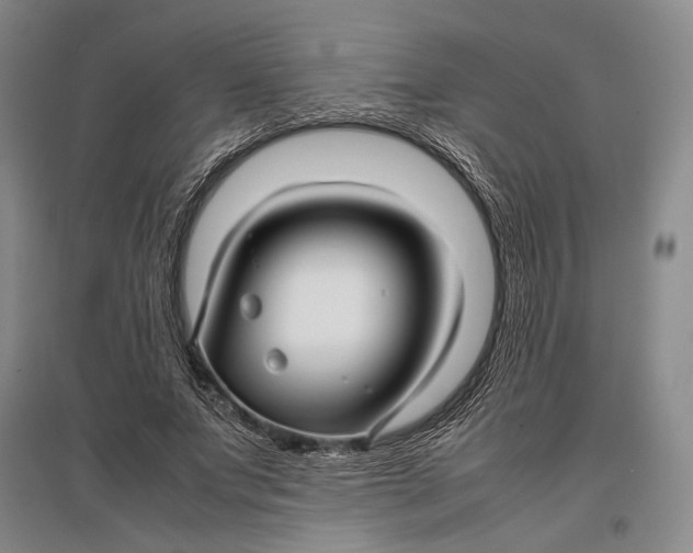 X0000096980687200802291146