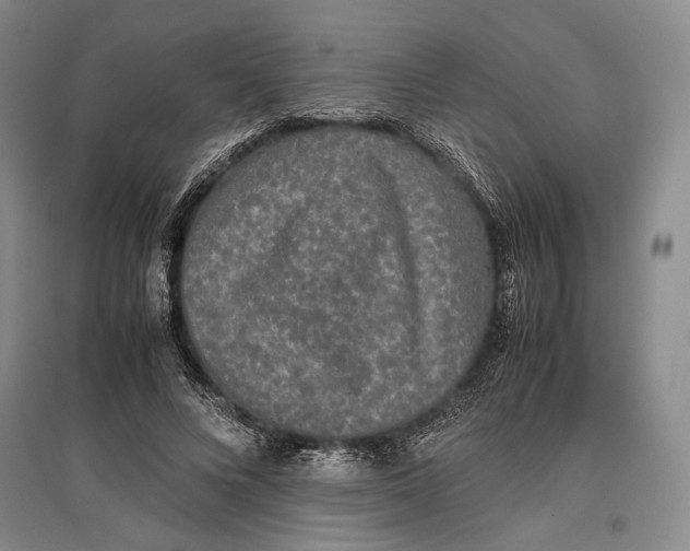 X0000096980688200802291146