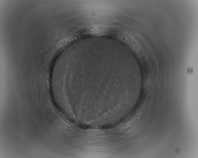 X0000096980689200802291146