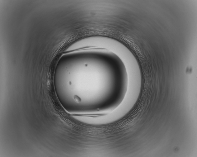 X0000096980691200802291146