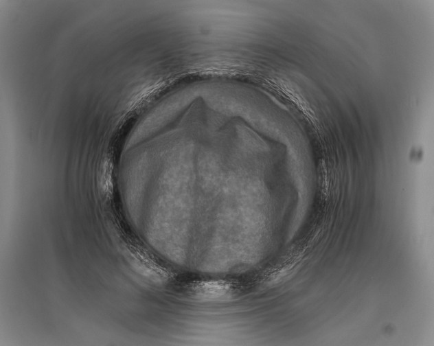 X0000096980692200802291146