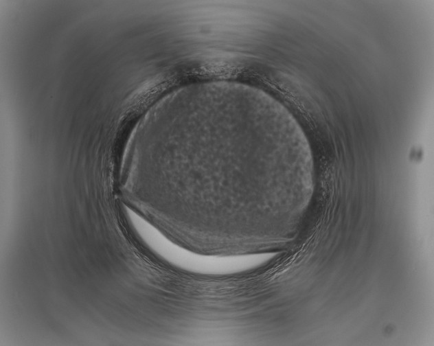 X0000096980693200802291146