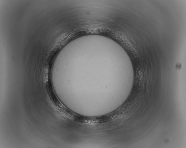 X0000096980694200802291146