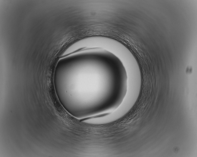 X0000096980695200802291146