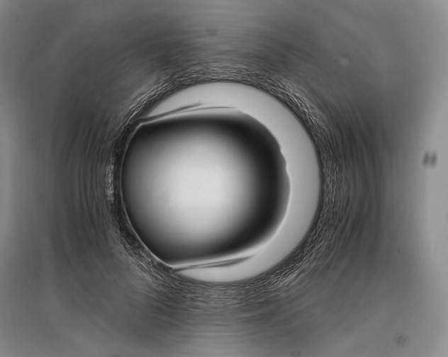 X0000096980696200802291146